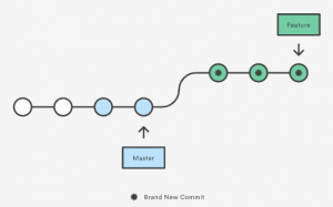 feature master git feature master git