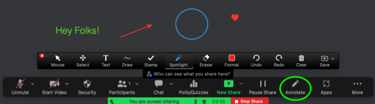 zoom meeting annotate